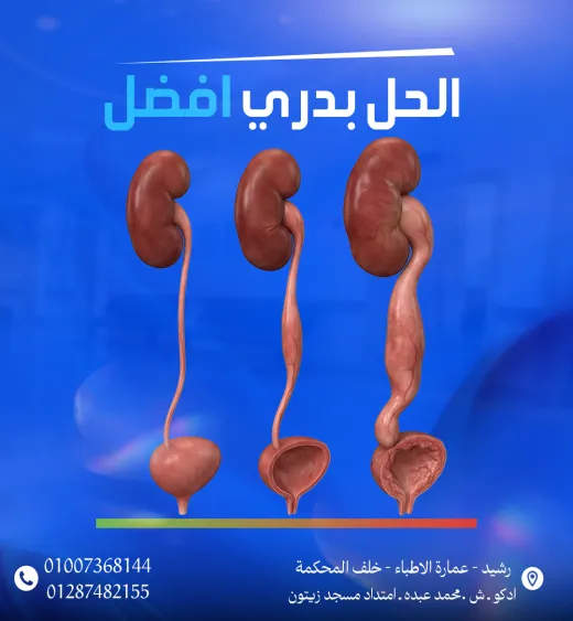 مركز د محمد عادل ابوزيد