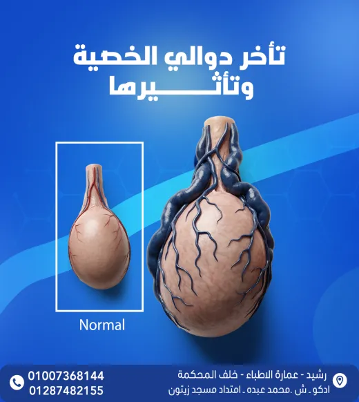 مركز د محمد عادل ابوزيد